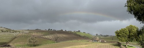Rainbow over Liberty vineyard